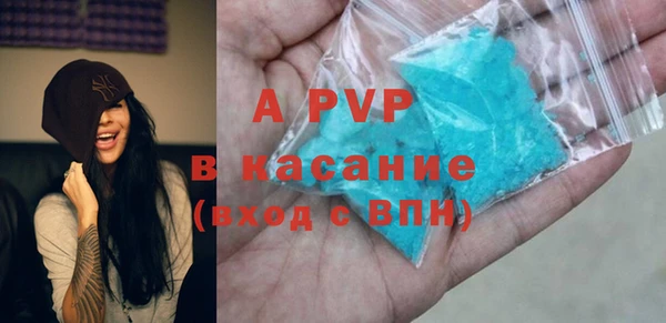 шишки Алексин