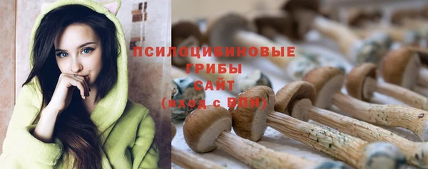 шишки Алексин