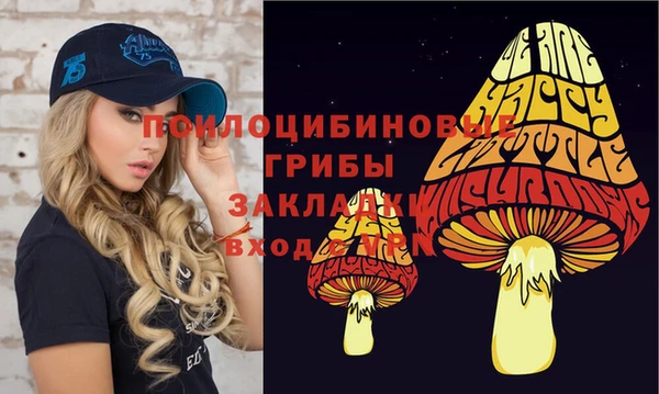 МДПВ Алзамай