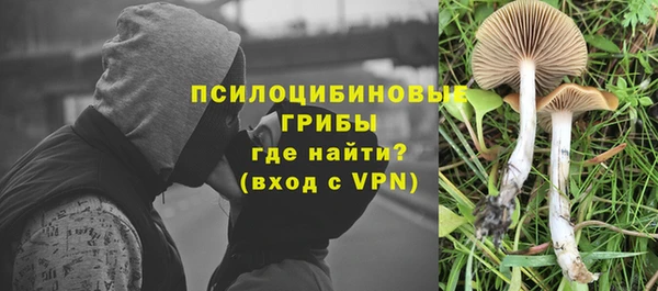 МДПВ Алзамай