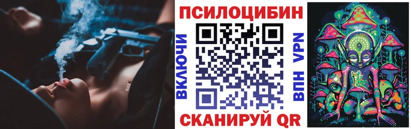 Галлюциногенные грибы Psilocybe Бронницы